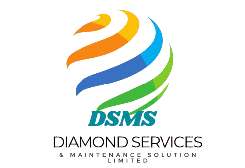 DSMS